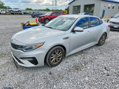 5XXGT4L31KG****** 2019 Kia Optima