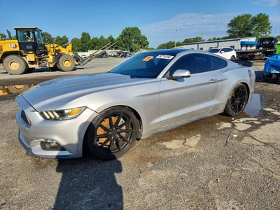 1FA6P8THXH5****** 2017 Ford Mustang