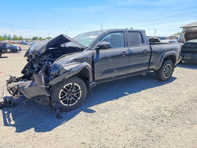 3TMLB5JN1RM****** 2024 Toyota Tacoma