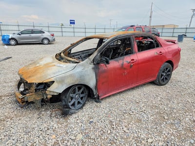 1NXBU40E39Z****** 2009 Toyota Corolla