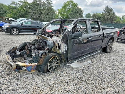 1FTFW1E4XLK****** 2020 Ford F-150