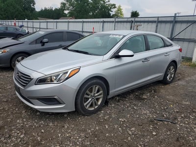 5NPE24AF5GH****** 2016 Hyundai Sonata
