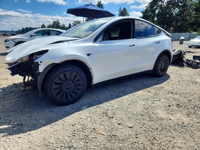 5YJYGDEE7MF****** 2021 Tesla Model Y