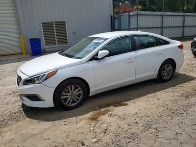 5NPE24AF7GH****** 2016 Hyundai Sonata