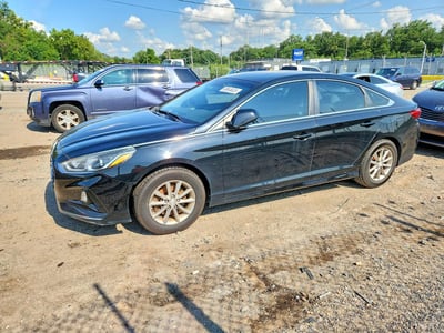 5NPE24AF4JH****** 2018 Hyundai Sonata