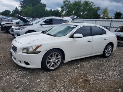 1N4AA5AP2AC****** 2010 Nissan Maxima