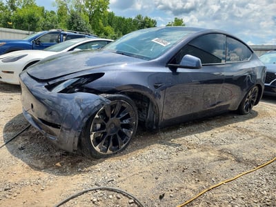 7SAYGDEE3PF****** 2023 Tesla Model Y