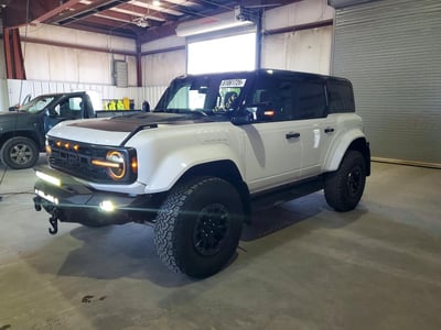 1FMEE0RR9RL****** 2024 Ford Bronco
