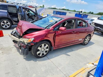 19XFA165X9E****** 2009 Honda Civic