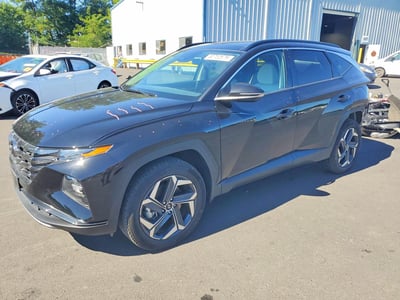 KM8JFDD26RU****** 2024 Hyundai Tucson Plug-in Hybrid