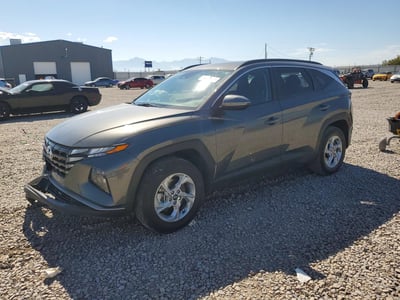 5NMJBCAE4PH****** 2023 Hyundai Tucson