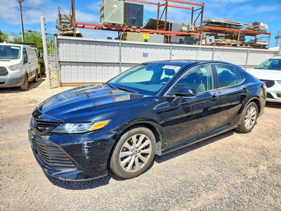 4T1B11HK0KU****** 2019 Toyota Camry