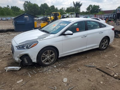 5NPE34AF5KH****** 2019 Hyundai Sonata