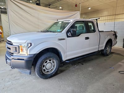 1FTEX1EB4LK****** 2020 Ford F-150