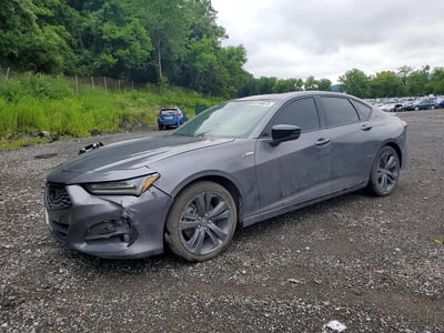 19UUB6F51PA****** 2023 Acura TLX