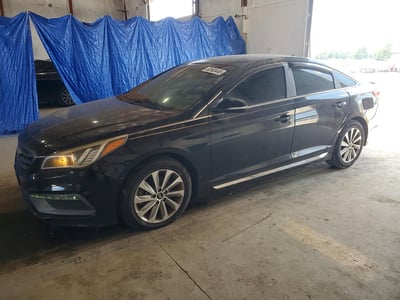5NPE34AFXGH****** 2016 Hyundai Sonata