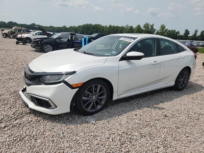 19XFC1F33KE****** 2019 Honda Civic