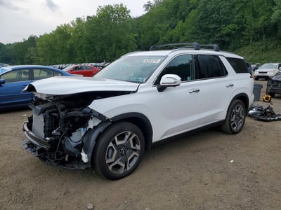 KM8R4DGE4SU****** 2025 Hyundai Palisade