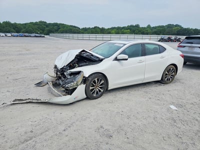 19UUB1F31FA****** 2015 Acura TLX