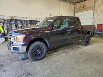 1FTEW1E50LF****** 2020 Ford F-150