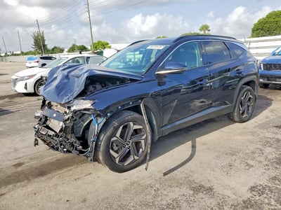 KM8JECD16RU****** 2024 Hyundai Tucson Hybrid