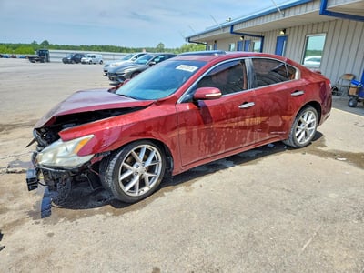 1N4AA51E49C****** 2009 Nissan Maxima