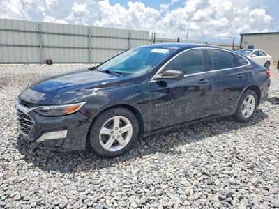 1G1ZB5ST6LF****** 2020 Chevrolet Malibu