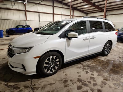 5FNRL6H65RB****** 2024 Honda Odyssey