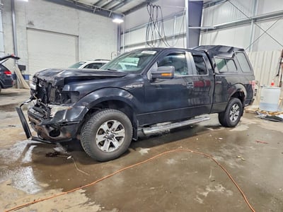 1FTFX1EF1DF****** 2013 Ford F-150