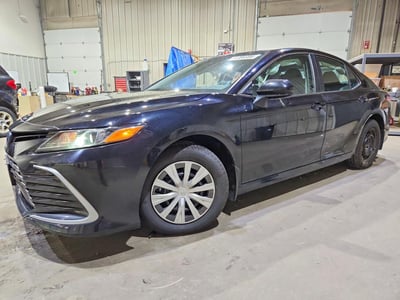 4T1C31AK1PU****** 2023 Toyota Camry Hybrid