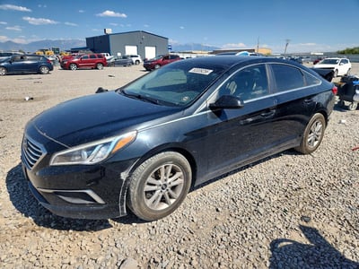 5NPE24AF1HH****** 2017 Hyundai Sonata