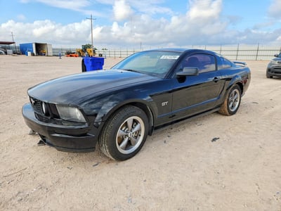 1ZVFT82H565****** 2006 Ford Mustang