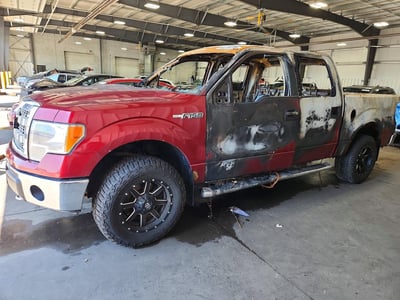 1FTFW1EF2EK****** 2014 Ford F-150