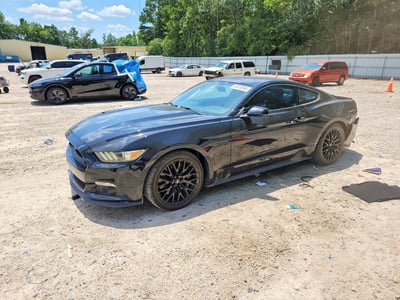 1FA6P8CF6F5****** 2015 Ford Mustang