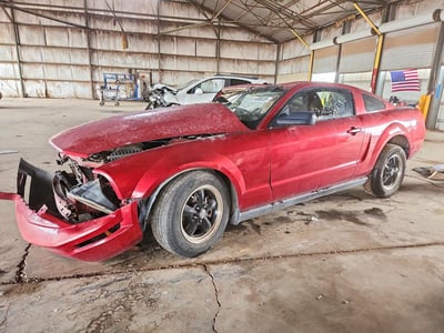 1ZVFT80N955****** 2005 Ford Mustang