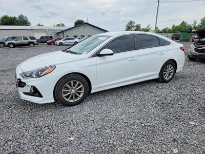 5NPE24AF5KH****** 2019 Hyundai Sonata