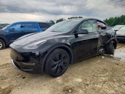 7SAYGDEE7SF****** 2025 Tesla Model Y