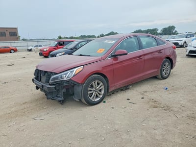 5NPE24AF7GH****** 2016 Hyundai Sonata