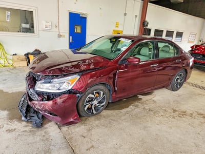 1HGCR2F31HA****** 2017 Honda Accord