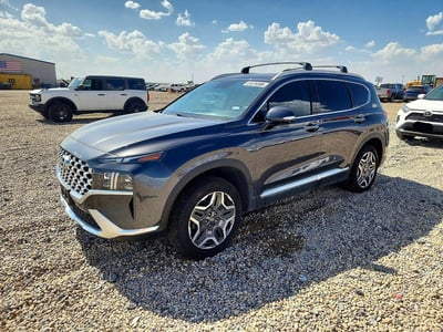 5NMS4DAL5MH****** 2021 Hyundai Santa Fe