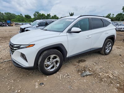 5NMJBCDEXRH****** 2024 Hyundai Tucson