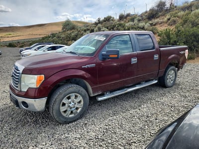 1FTFW1EV5AK****** 2010 Ford F-150