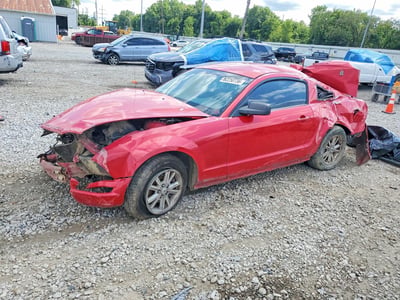 1ZVFT80N875****** 2007 Ford Mustang