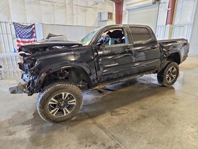 3TMCZ5AN7KM****** 2019 Toyota Tacoma
