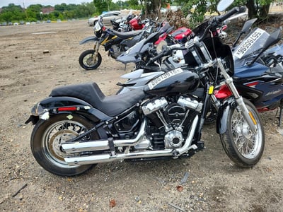2020 Harley-Davidson Softail Standard
