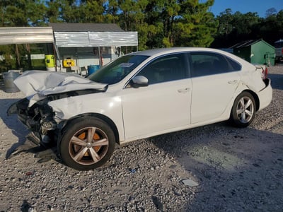 1VWBS7A37EC****** 2014 Volkswagen Passat