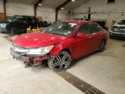 1HGCR2F51HA****** 2017 Honda Accord