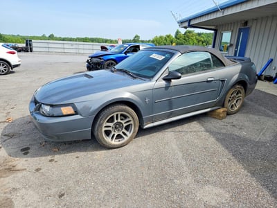 1FAFP4444YF****** 2000 Ford Mustang