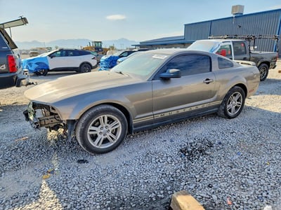 1ZVFT80N655****** 2005 Ford Mustang