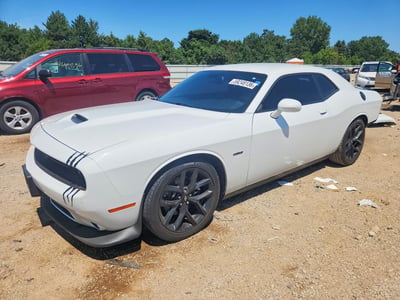 2C3CDZBT1KH****** 2019 Dodge Challenger